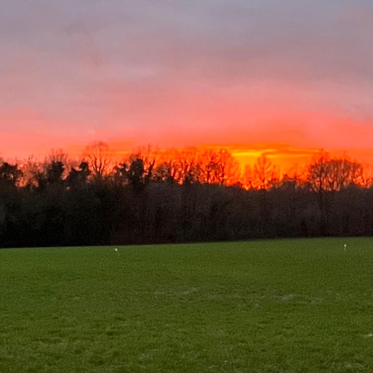 Appartamento Le Plantier 1 Beaulieu-sur-Sonnette Esterno foto