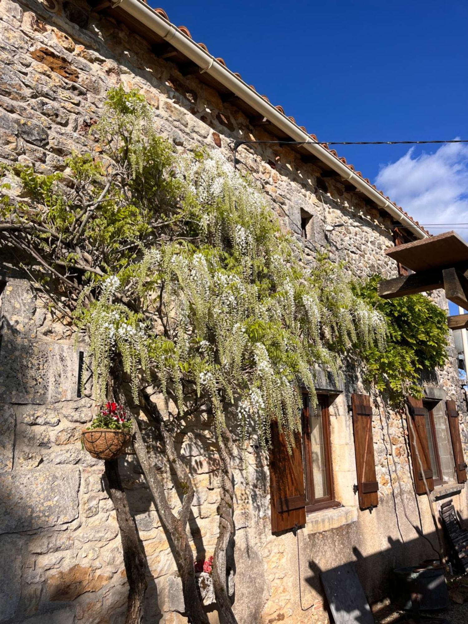 Appartamento Le Plantier 1 Beaulieu-sur-Sonnette Esterno foto